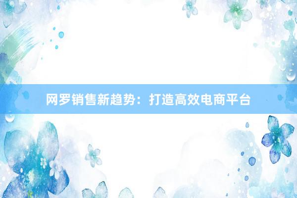 网罗销售新趋势：打造高效电商平台