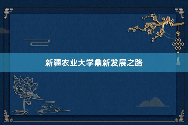 新疆农业大学鼎新发展之路