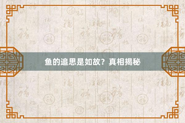 鱼的追思是如故？真相揭秘